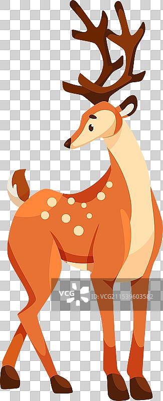 可爱的有斑点和角的小鹿图片素材