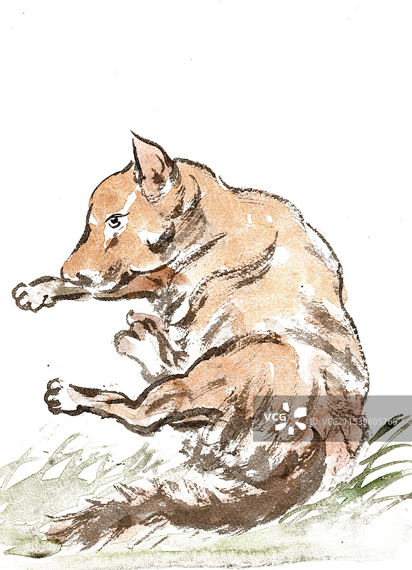 卧着的狗图片素材