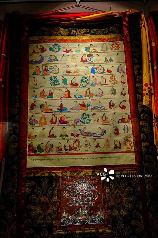 中国青海藏文化博物馆，藏医药馆，曼唐医学，四部医典，唐卡藏族绘画艺术，藏医学，藏医药，唐卡，图片素材