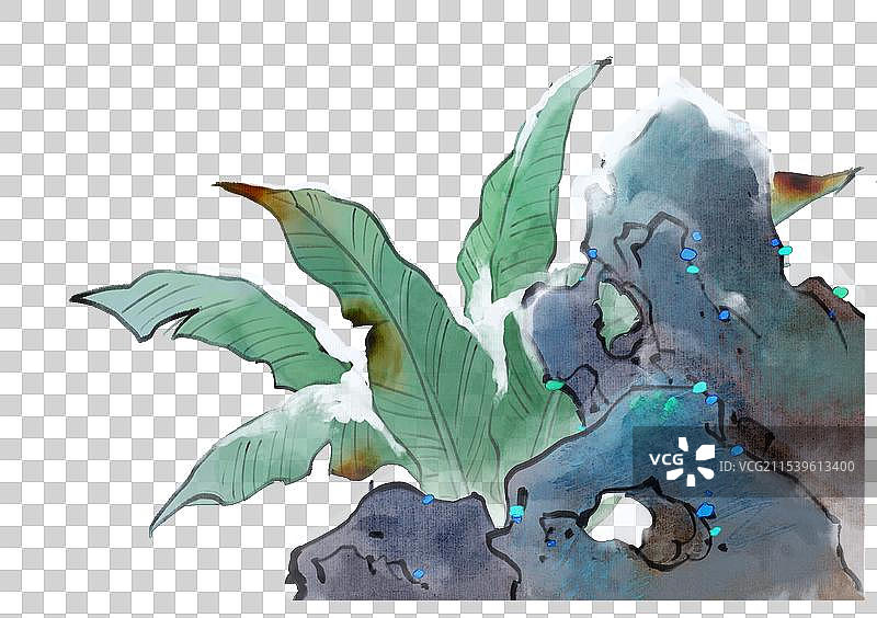 雪中的假山芭蕉叶图片素材