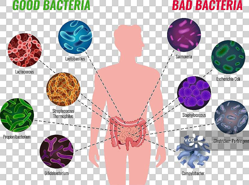 好细菌与坏细菌海报图片素材