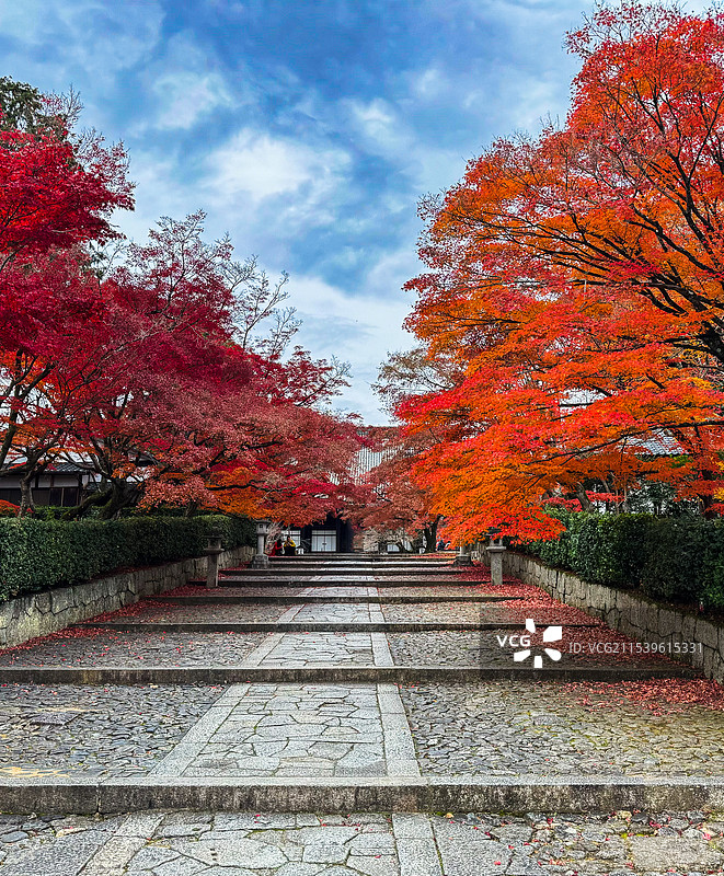 京都红叶 真如堂 秋天红叶 古建筑 禅意 静谧 宁静图片素材