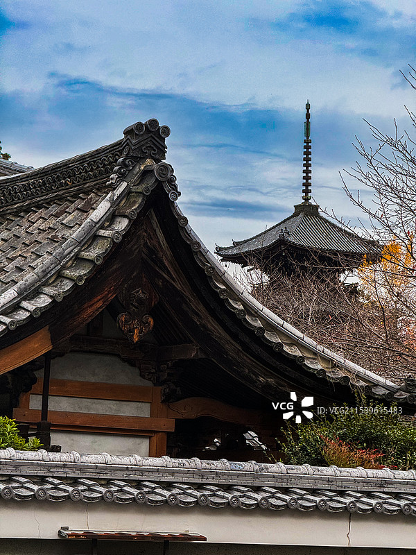 京都红叶 真如堂 秋天红叶 古建筑 禅意 静谧 宁静图片素材
