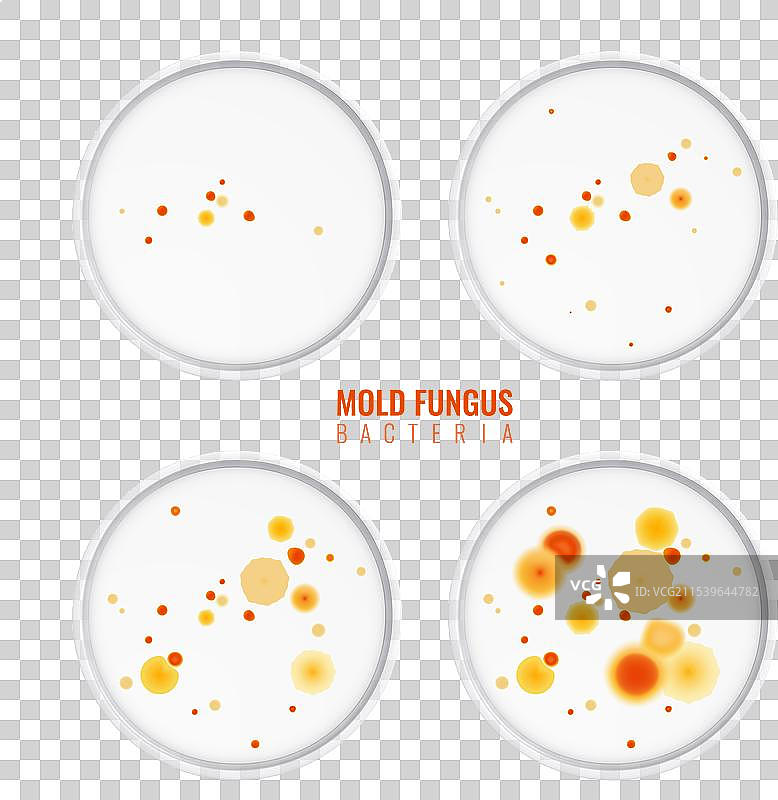 真实的霉菌真菌套装图片素材