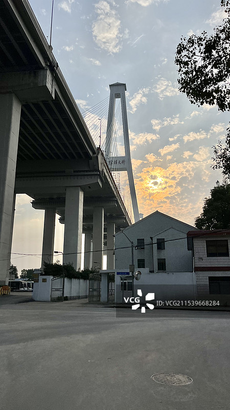 上海三林徐浦大桥图片素材