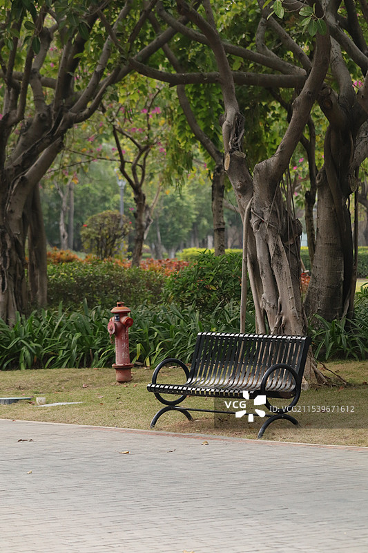 公园里的空长凳（厦门园林博览苑）图片素材