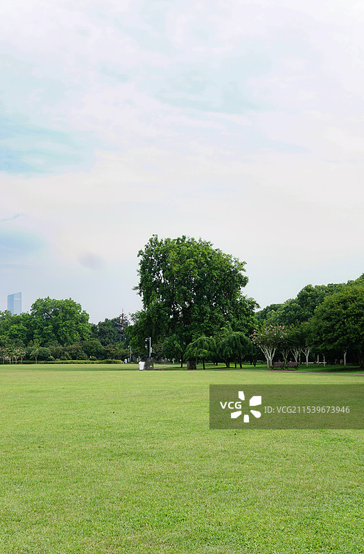 长沙橘子洲的草坪图片素材