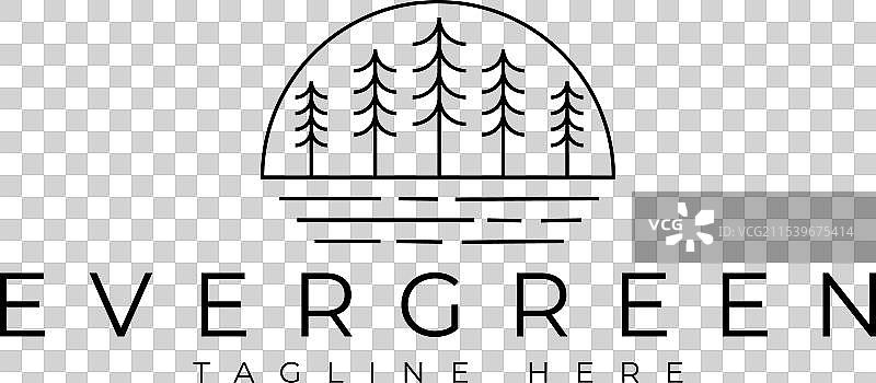 松树常青森林线标志设计图片素材