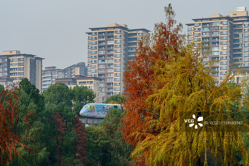 穿行在城市园林中的璧山云巴图片素材