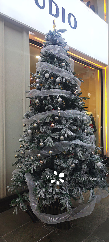 圣诞树图片素材