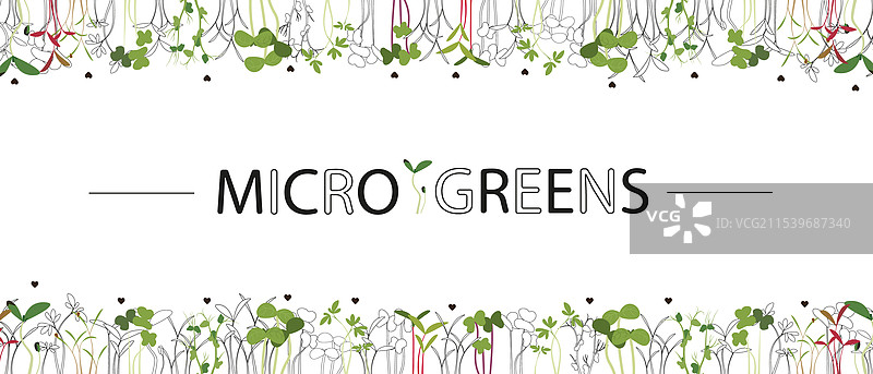 微型绿植新鲜自然设计框架图片素材