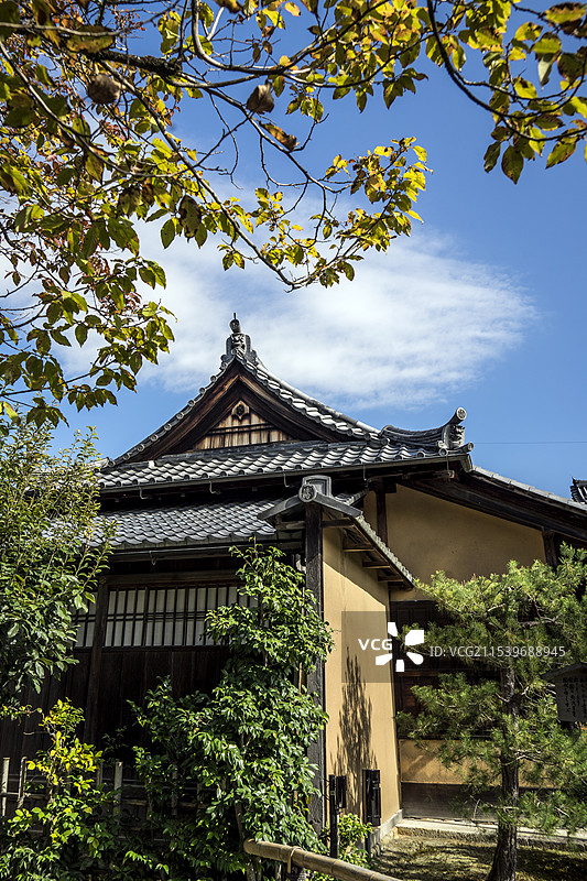 一休哥的根据地-金阁寺图片素材