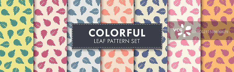 多彩的叶子图案背景集图片素材