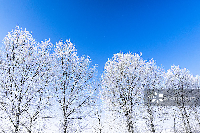 五大连池市雾凇景观图片素材
