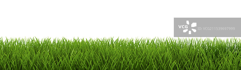 绿色草地框架，孤立在白色背景上图片素材