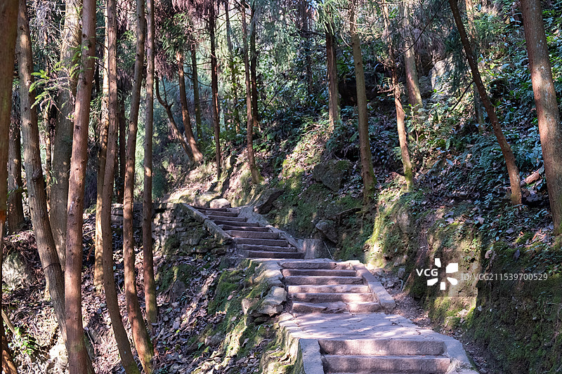 四川成都都江堰青城后山五龙沟景区图片素材