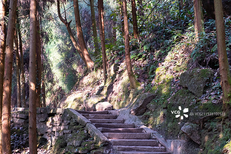 四川成都都江堰青城后山五龙沟景区图片素材