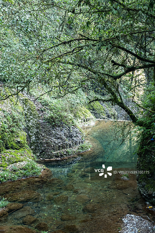 四川成都都江堰青城后山五龙沟景区图片素材
