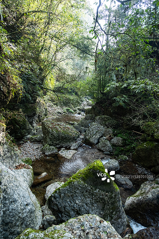 四川成都都江堰青城后山五龙沟景区图片素材