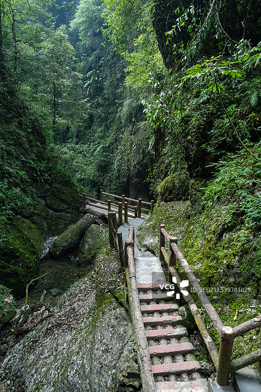 四川成都都江堰青城后山五龙沟景区图片素材