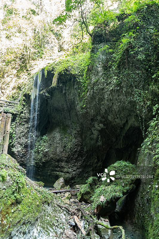 四川成都都江堰青城后山五龙沟景区图片素材