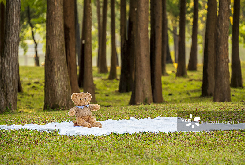 森林草坪野餐垫上的玩具熊图片素材