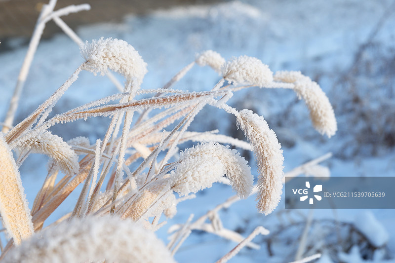 东北雾凇图片素材