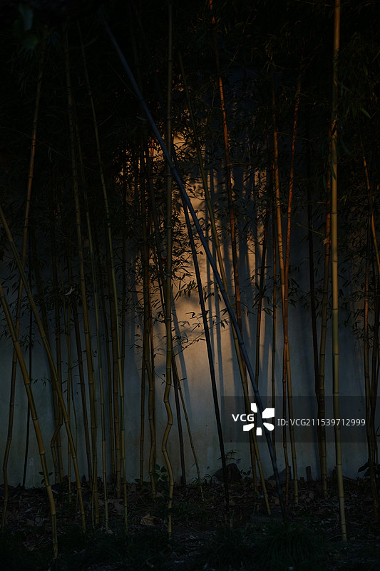 苏州拙政园夕阳竹影图片素材