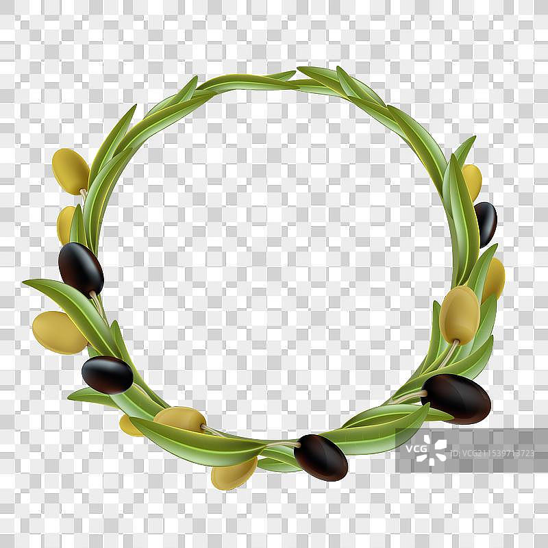 圆形橄榄枝花环图片素材