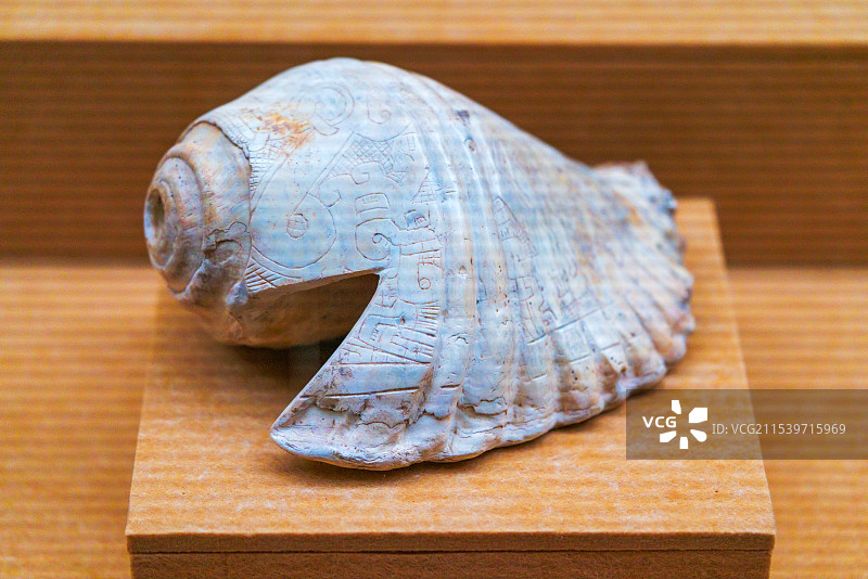 云南省博物馆 再见印加 秘鲁安第斯文明特展 雕花凤螺小号图片素材