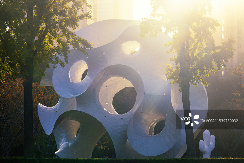 雕塑公园里的树图片素材