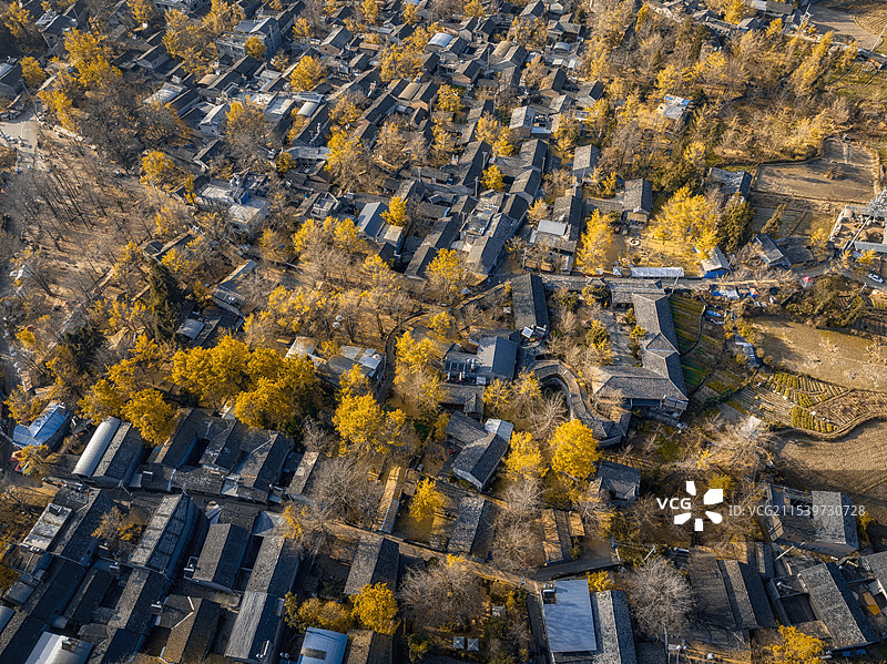 腾冲银杏村图片素材