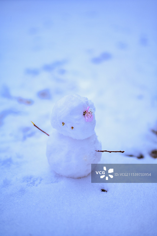 一个头上戴着小花的雪人图片素材