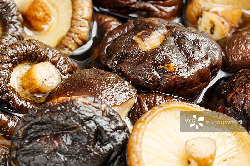 泡发的蘑菇 香菇 食材 静物微距特写图片素材