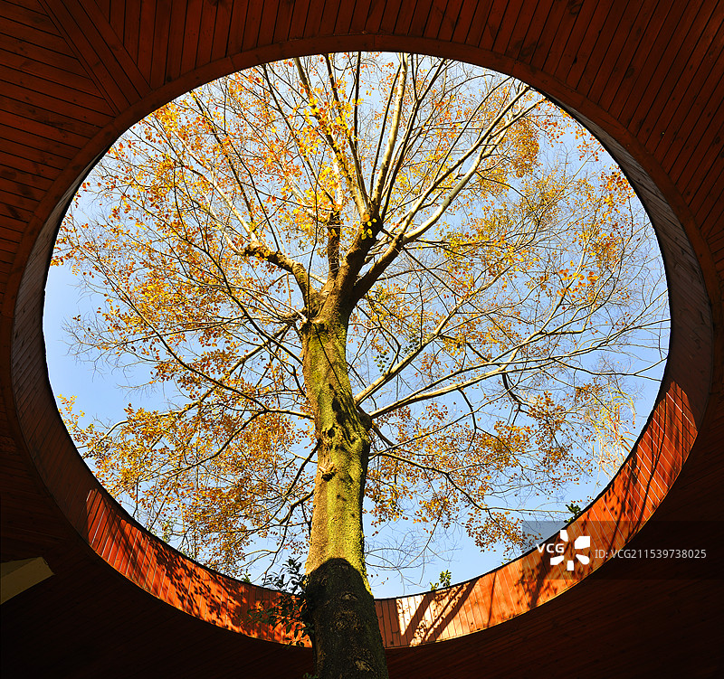 南方的冬日图片素材