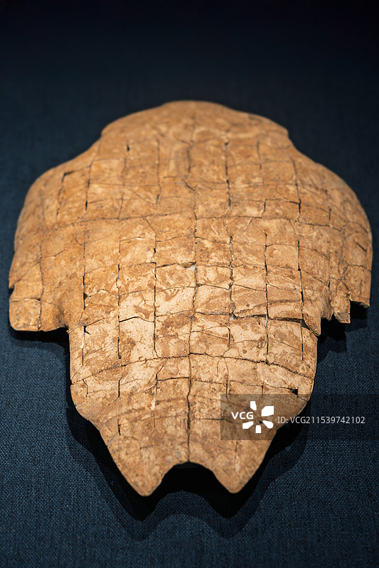 刻辞卜甲 河南安阳殷墟出土 中国社会科学院考古研究所藏图片素材