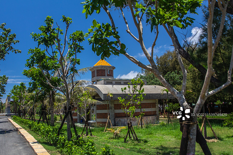 公园里的树木和植物图片素材