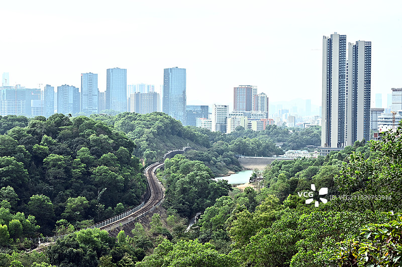 深圳雪竹径公园自然景观城市绿洲与高楼林立图片素材