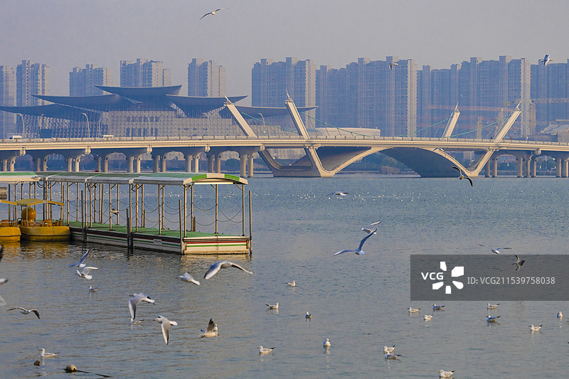冬季无锡太湖景区及红嘴鸥风光图片素材