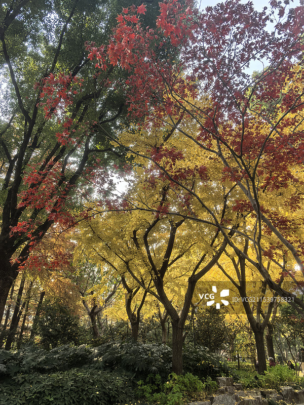 海德里公园图片素材