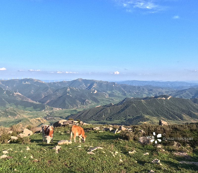 河北冰山梁露营图片素材