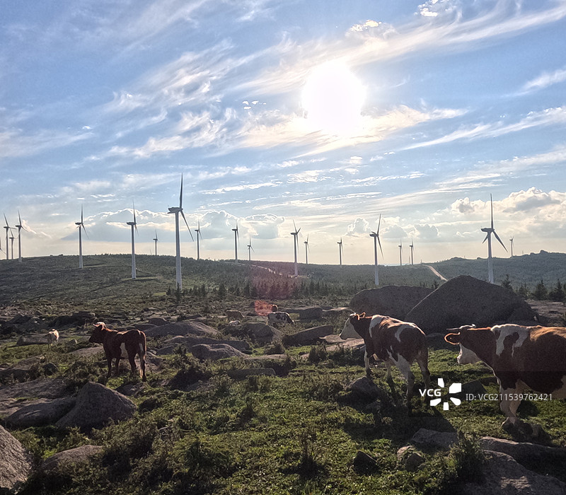 河北冰山梁露营图片素材