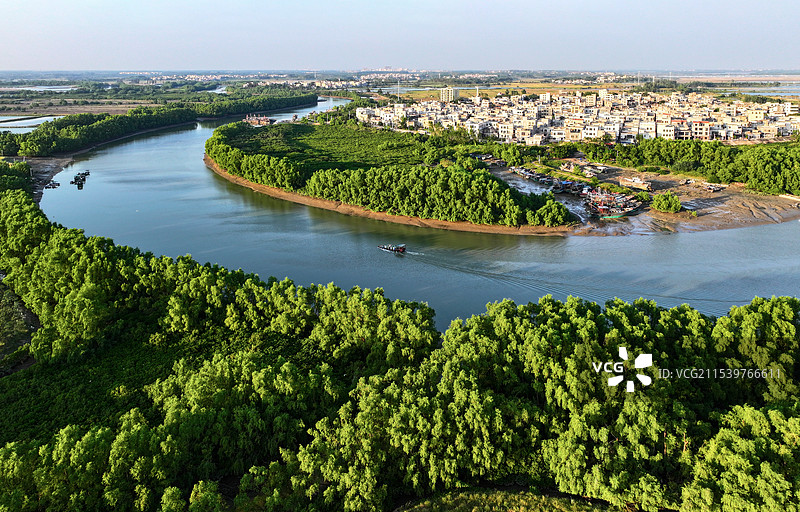 广东湛江：通明渔港景色美丽，生态良好图片素材