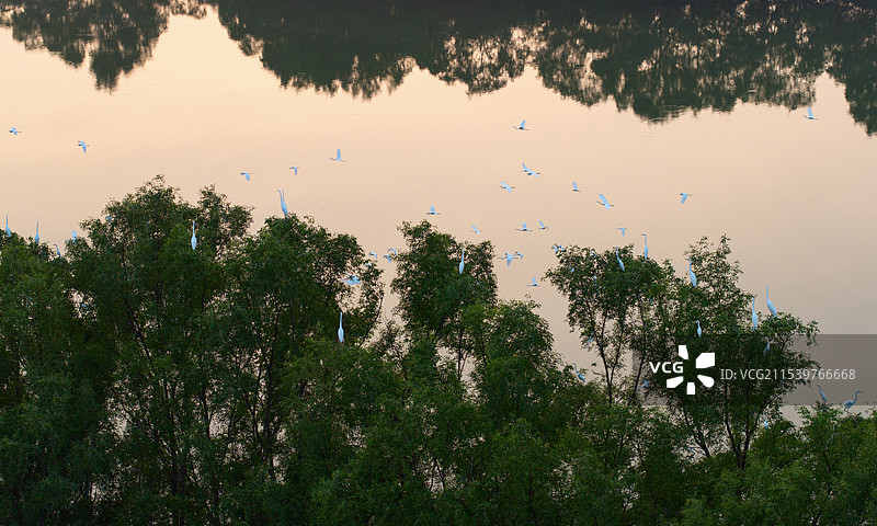 广东湛江：通明渔港景色美丽，生态良好图片素材