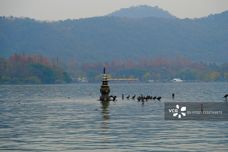 西湖十景三潭映月图片素材