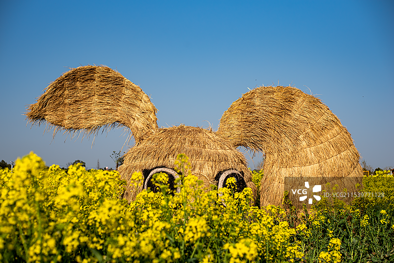 油菜花田里的稻草兔子造型图片素材