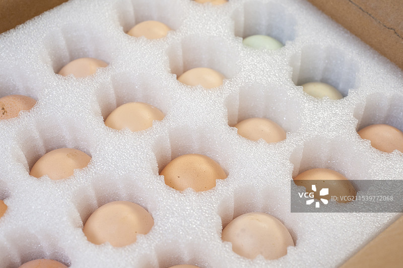 新鲜土鸡蛋包装图片素材