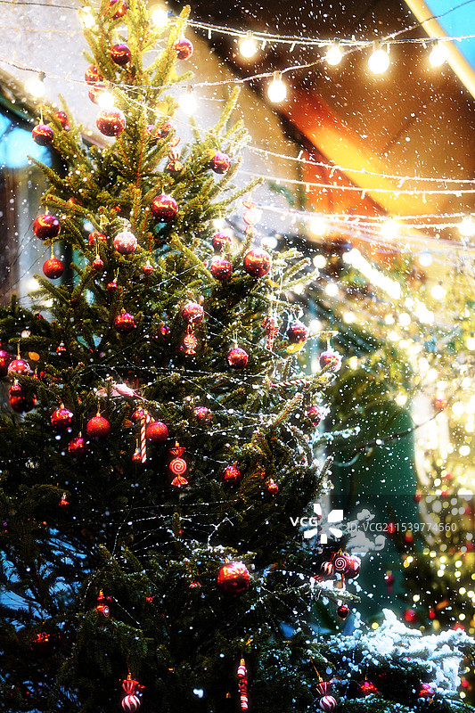 雪天圣诞树图片素材