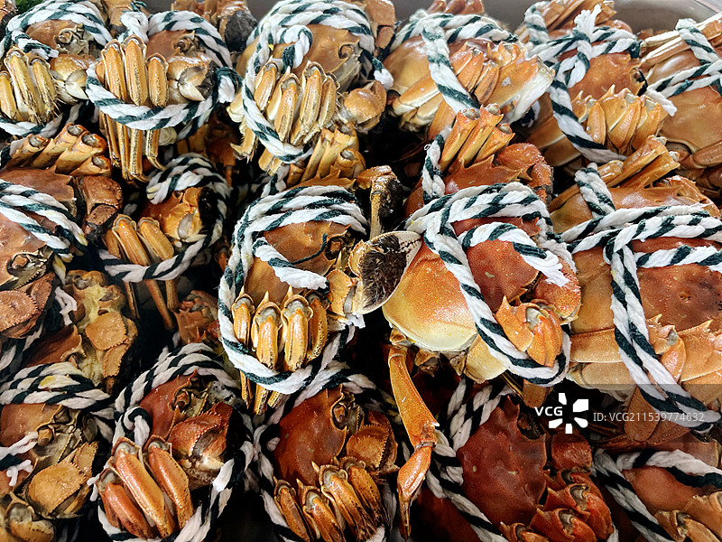 清蒸大闸蟹特写图片素材