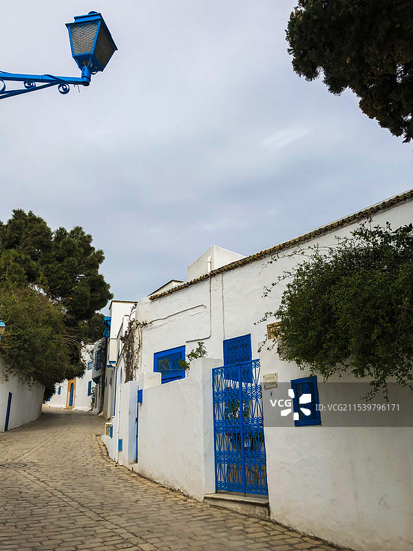 突尼斯 北非 蓝白小镇 地中海 西迪布赛义德图片素材